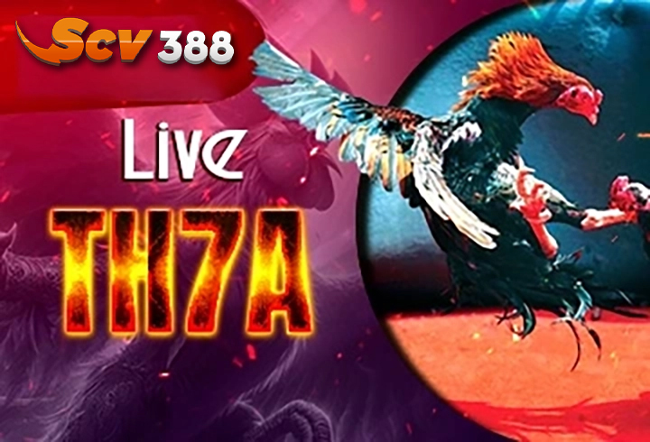 Đá Gà TH7A
